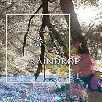 ＢＬＵＥＶＩＮＥ「 ＲＡＩＮＤＲＯＰ」