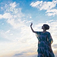 サトウヒロコ「 流星」