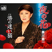 美川憲一「 夜の花」