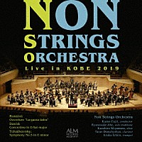 藤井一男「 ＮＯＮ　ＳＴＲＩＮＧＳ　ＯＲＣＨＥＳＴＲＡ　２０１９神戸公演」