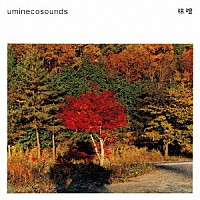 ｕｍｉｎｅｃｏｓｏｕｎｄｓ「 味噌」