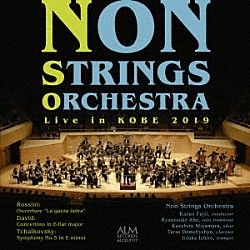 藤井一男 ＮＯＮ　ＳＴＲＩＮＧＳ　ＯＲＣＨＥＳＴＲＡ 阿部竜之介 宮村和宏 タラス・デムチシン 飯塚一郎「ＮＯＮ　ＳＴＲＩＮＧＳ　ＯＲＣＨＥＳＴＲＡ　２０１９神戸公演」