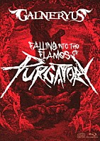 ＧＡＬＮＥＲＹＵＳ「 ＦＡＬＬＩＮＧ　ＩＮＴＯ　ＴＨＥ　ＦＬＡＭＥＳ　ＯＦ　ＰＵＲＧＡＴＯＲＹ」