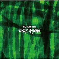 ＨＯＢＢＬＥＤＥＥＳ「 ＥＶＥＲ　ＧＲＥＥＮ」