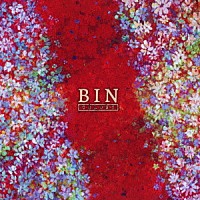 ＢＩＮ「 ＣＯＬＯＮＹ」