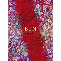 ＢＩＮ「 ＣＯＬＯＮＹ」