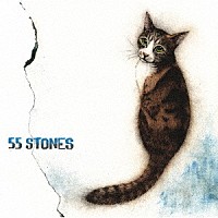 斉藤和義「 ５５　ＳＴＯＮＥＳ」