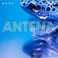 ＡＮＴＥＮＡ「 あさやけ」