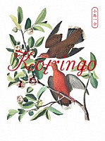 コトリンゴ「小鳥一会「小鳥観察 ｋｏｔｒｉｎｇｏ Ｂｅｓｔ」発売記念ライブ ２０２０」 | KNW-3 | 4526180554868 |  Shopping | Billboard JAPAN