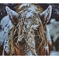 ＴＨＥ　ＡＮＤＳ「 ｈｅｒｅｉｎ」