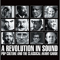 （Ｖ．Ａ．）「 サウンド革命～ポップ・カルチャーを覚醒させたアヴァンギャルドの基礎知識」