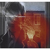 ＰＯＲＣＵＰＩＮＥ　ＴＲＥＥ「 ＬＩＧＨＴＢＵＬＢ　ＳＵＮ」