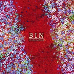 ＢＩＮ「ＣＯＬＯＮＹ」