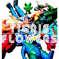 ＴＩＧＲＩＳ　ＦＬＯＷＥＲＳ「 ＴＩＧＲＩＳ　ＦＬＯＷＥＲＳ」