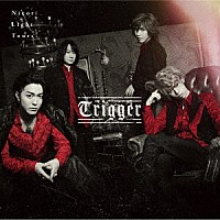 Ｎｉｃｏｒｉ　Ｌｉｇｈｔ　Ｔｏｕｒｓ「 Ｔｒｉｇｇｅｒ」