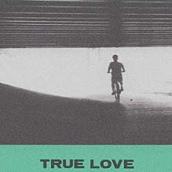 ＨＯＶＶＤＹ「ＴＲＵＥ　ＬＯＶＥ」
