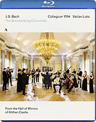 ヴァーツラフ・ルクス コレギウム１７０４「Ｊ．Ｓ．バッハ：ブランデンブルク協奏曲（全６曲）」