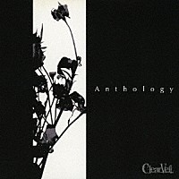 ＣｌｅａｒＶｅｉｌ「 Ａｎｔｈｏｌｏｇｙ　ＴＹＰＥ　Ａ」