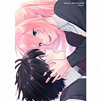 なすお☆「 ハニージェットコースター」