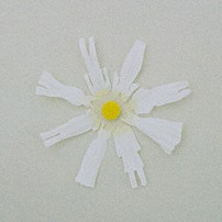 ｗａｃｃｉ 「恋だろ／僕らの一歩」