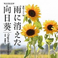 眞鍋昭大「 ＷＯＷＯＷ　連続ドラマＷ　雨に消えた向日葵　Ｏｒｉｇｉｎａｌ　Ｓｏｕｎｄｔｒａｃｋ」