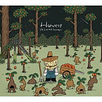 ０４　Ｌｉｍｉｔｅｄ　Ｓａｚａｂｙｓ「 Ｈａｒｖｅｓｔ」