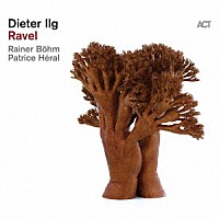 Ｄｉｅｔｅｒ　Ｉｌｇ「 Ｒａｖｅｌ」