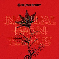 ＢＬＶＣＫＢＥＲＲＹ「 ＮＡＴＵＲＡＬ　ＢＯＲＮ　ＥＲＲＯＲＳ」
