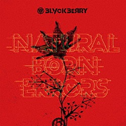 ＢＬＶＣＫＢＥＲＲＹ「ＮＡＴＵＲＡＬ　ＢＯＲＮ　ＥＲＲＯＲＳ」