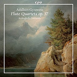 （クラシック） アルディンゲロ・アンサンブル カール・カイザー アンネッテ・レーベルガー ゼバスティアン・ヴォールファルト マルティナ・イェッセル「ギロヴェッツ：フルート四重奏曲集　Ｏｐ．３７」