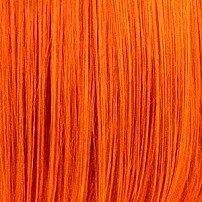 カメレオン・ライム・ウーピーパイ 「Ｏｒａｎｇｅ」