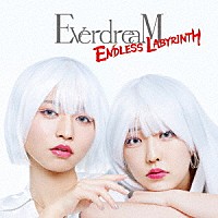 ＥｖｅｒｄｒｅａＭ「 ＥＮＤＬＥＳＳ　ＬＡＢＹＲＩＮＴＨ」