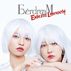 ＥｖｅｒｄｒｅａＭ「ＥＮＤＬＥＳＳ　ＬＡＢＹＲＩＮＴＨ」