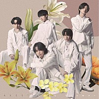 ＡＶＥＳＴ「 Ｌｉｌｙ　Ｆｌｏｗｅｒ」