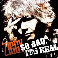 ＺＩＧＧＹ 「ＳＯ　ＢＡＤ，　ＩＴ’Ｓ　ＲＥＡＬ」