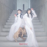 ｈａｒｍｏｅ 「Ｌｏｖｅ　ｉｓ　ａ　ｐｏｔｉｏｎ」