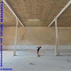 ＴＯＲＲＥＳ「Ｗｈａｔ　ａｎ　ｅｎｏｒｍｏｕｓ　ｒｏｏｍ」