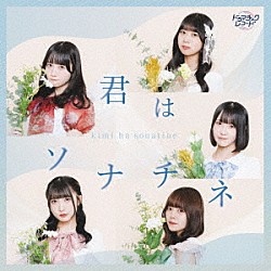 ドラマチックレコード「君はソナチネ」