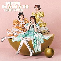 ＦＲＵＩＴＳ　ＺＩＰＰＥＲ「 ＮＥＷ　ＫＡＷＡＩＩ」