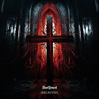 ＤｕｅｌＪｅｗｅｌ「 ［ＲＥ］ＲＥＶＩＶＥ」