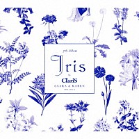 ＣｌａｒｉＳ「 Ｉｒｉｓ」