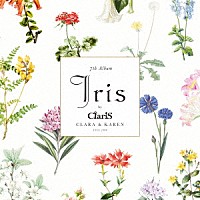 ＣｌａｒｉＳ「 Ｉｒｉｓ」