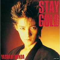 本田恭章「 ＳＴＡＹ　ＧＯＬＤ（新装版）」