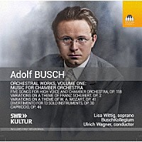 （クラシック）「 ブッシュ：管弦楽作品集　第１集　室内オーケストラのための作品集」