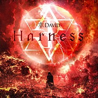 ＤＡＶＩＤ「 Ｈａｒｎｅｓｓ」