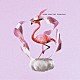 ｗａｇａｍａｍａ「ＥＶＥＲ　ＤＡＮＣＩＮＧ　ＦＬＡＭＩＮＧＯ」