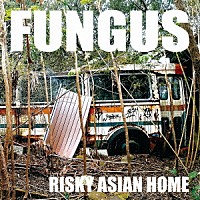 ＦＵＮＧＵＳ「 ＲＩＳＫＹ　ＡＳＩＡＮ　ＨＯＭＥ」