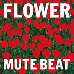 ＭＵＴＥ　ＢＥＡＴ「ＦＬＯＷＥＲ」