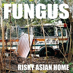 ＦＵＮＧＵＳ「ＲＩＳＫＹ　ＡＳＩＡＮ　ＨＯＭＥ」