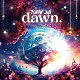 ＮｉｇｈｔＯｗｌ「ｄａｗｎ．」